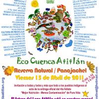 Tercer Eco-Festival Pura Vida